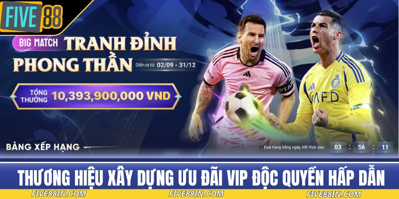 Thương hiệu xây dựng ưu đãi VIP độc quyền hấp dẫn