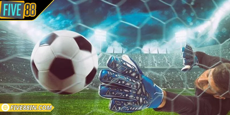 Sơ lược một vài thông tin về thể thao K-Sports